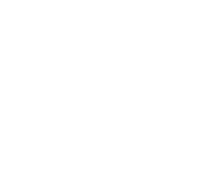 The Wesleyan Church logo. the rising dove when Jesus was baptised by John the Baptist.